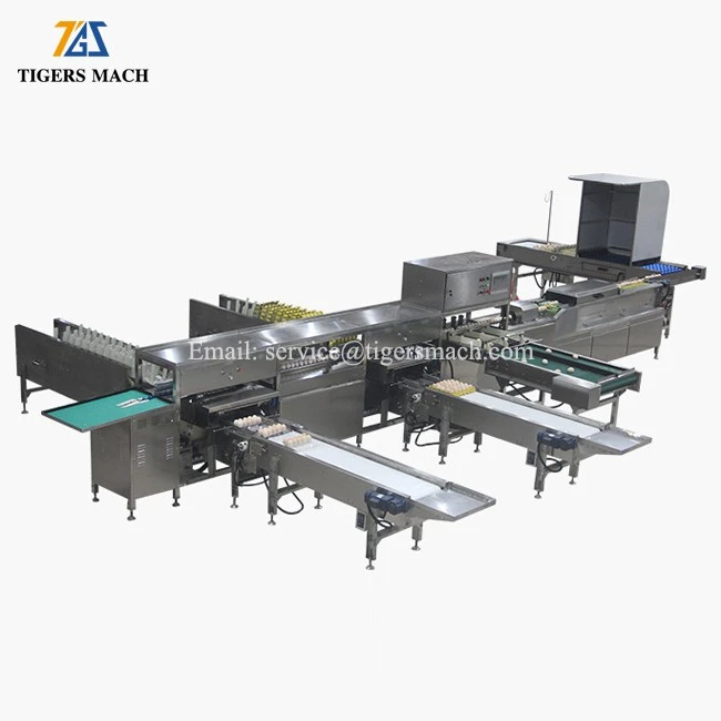 Automatic egg packing machine