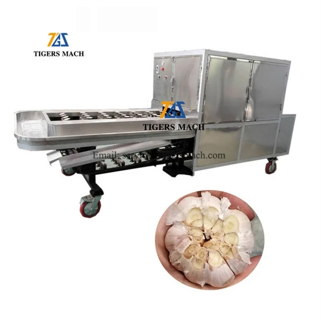 Hot sale garlic roots removing and concave cutting machine price, concave root cutters for sale for garlic onions (5)