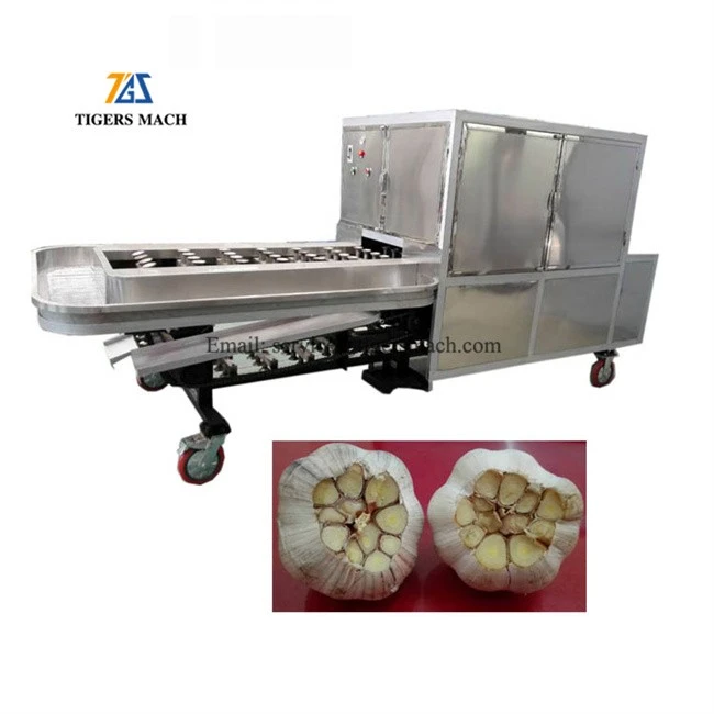 Garlic concave cutting machine by carbon steel garlic roots cutting equipment with concave cutter blade (3)