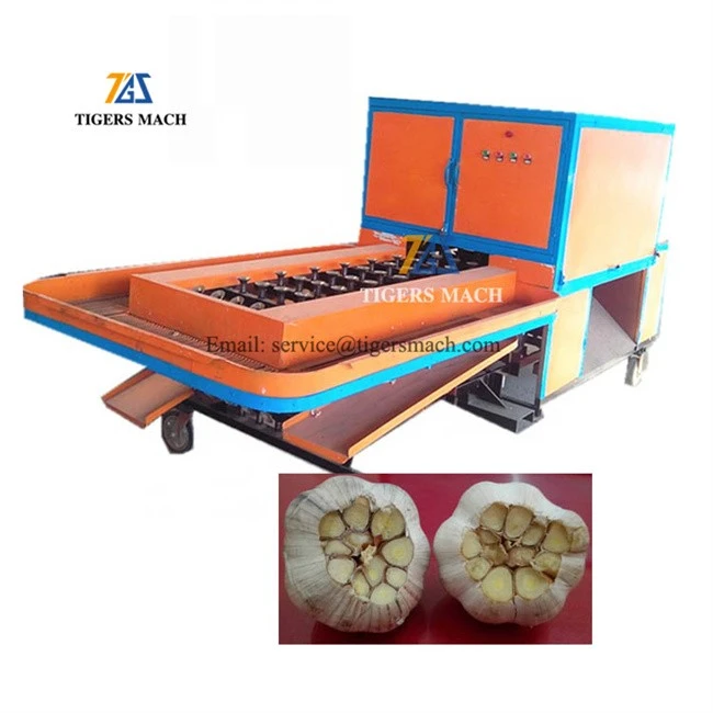 Carbon steel large scale dry garlic roots concave cutting and removing machine, mass production garlic roots remover