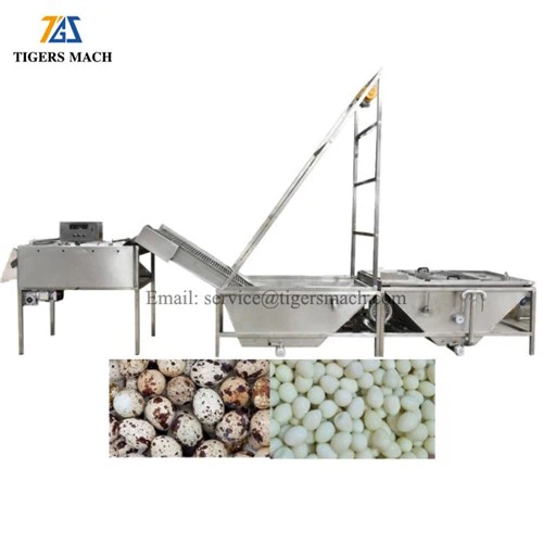 Gazdaságos főtt fürjtojás hámozott növény