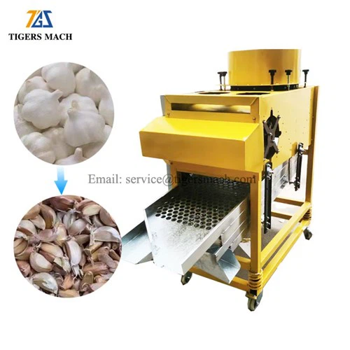 Fokhagyma Breaker Grader gép